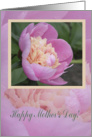 Pink Peony, Mother’s day card