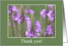 Field of Purple, Thank you! card