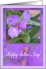 Blooming Spiderwort, Mother’s Day card