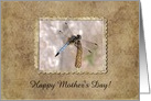 Dragonfly, Mother’s Day card