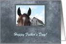 FACE to Face, Horse, Happy Father’s Day, Custom Text card