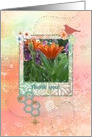 Orange Gerber Daisy with Birds and Bees, Custom Text card