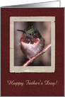 Hummingbird, Happy Father’s Day! card