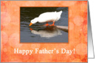 Mirror Mirror, White Duck, Father’s day card