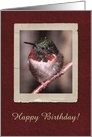 Hummingbird, Birthday card