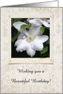 White Clematis in Frame on Vintage Flower Print, Birthday Greetings card