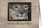 Snow Leopard, Birthday, Tan Circle Design, Custom Text card