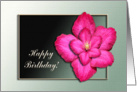 Pink Clematis, Birthday card