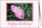 Pink Peony, Birthday card