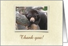 Black Bear on Cream Barlap Look Frame, Thank You, Custom Text card