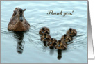 Thank you, Duck Formation card