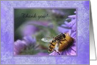 Bee on Purple New England Aster Flowers Thank you, Custom Text card