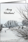 Winter Day, Merry Christmas card