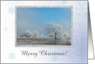 It Snowed Today, Christmas Unicorn, Custom Text card