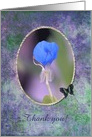 Water Iris, Thank you, Custom Text card