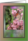 Beautiful Monarch Butterfly Birthday Greetings! card
