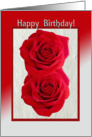 Red Roses for your Birthday card