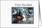 Pinecones after the snow, Feliz Navidad card