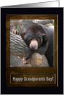 Black Bear, Grandparents Day card