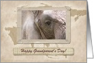 Kind Giant Elephant, Grandparent’s Day, Custom Text card