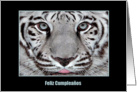 blanco el tigre, White Tiger, Feliz Cumpleaos card