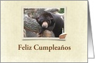 el oso, Black Bear, Feliz Cumpleaos card