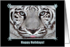 White Tiger, Happy Holidays card