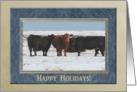 Cows in the Snow, Happy Holidays! card
