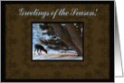 In the Forest, Greetings of the Season card