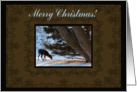 Oh Deer Merry Christmas card