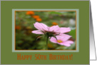 Happy 50th Birthday, Cosmos Flower card