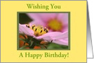 Pink Cosmos Flowers, Happy 55th Birthday card