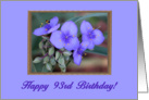 Happy 93rd Birthday!, Spiderwort Flowers card