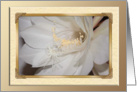 Night-Blooming Cereus Flower, Happy Birthday! card
