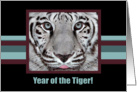 Year of the Tiger! card