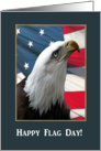 Eagle Profile and Our Flag, Happy Flag Day card