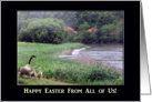 Happy Easter From All of Us!, Goose Family at the River card