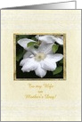 Mother’s Day, White Clementis, For Wife card