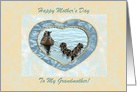 Duck Family Formation, Mother’s Day to Grandmother, Custom Text card