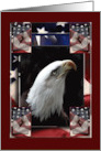 Eagle Scouts Congratulations, Eagle Profile in USA Flags card