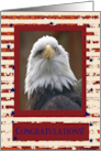 Congratulations, Eagle Scout, Eagle in Faded Stars and Stripe Frame card