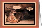 Families are like fudge, Family Reunion, Meerkats card