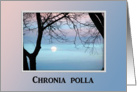 Chronia polla, Happy Father’s Day in Greek, Pastel Sky card