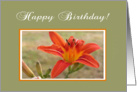 Wood Lily in Frame, May’s Birth Flower, Happy Birthday! card