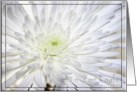 Chrysanthemum, Wish You Early Day Recover, In Chinese card