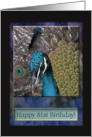 Peacoc, Happy 81st Birthday! card