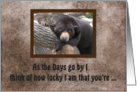 Black Bear, As the Days go by, Thinking of you, Humor card