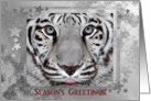 White Tiger, Season’s Greetings card