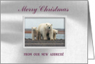 Polar Bear Family, Merry Christmas from our new address card