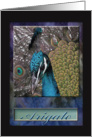 Peacock, Thank you in Japanese, Arigato card